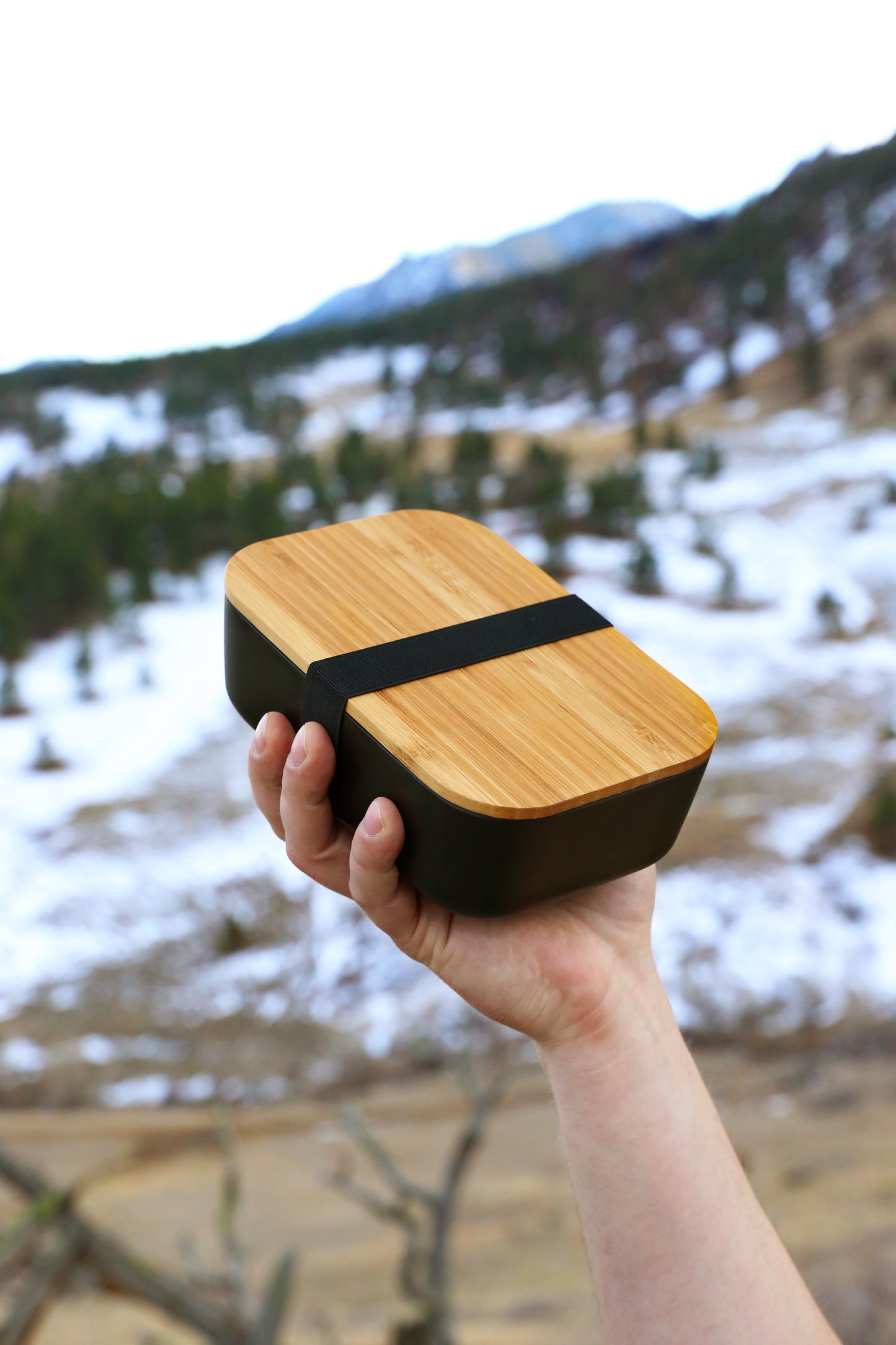 Bamboo Bento Box